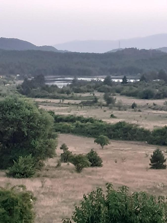 Bujtina Vila Dodo Leskovik Dış mekan fotoğraf